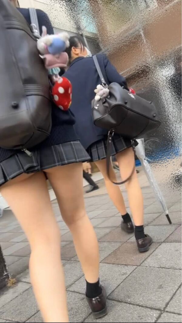 【画像】女子高生が制服にニーハイ合わせるって最初めちゃ勇気いりそうよなｗｗ